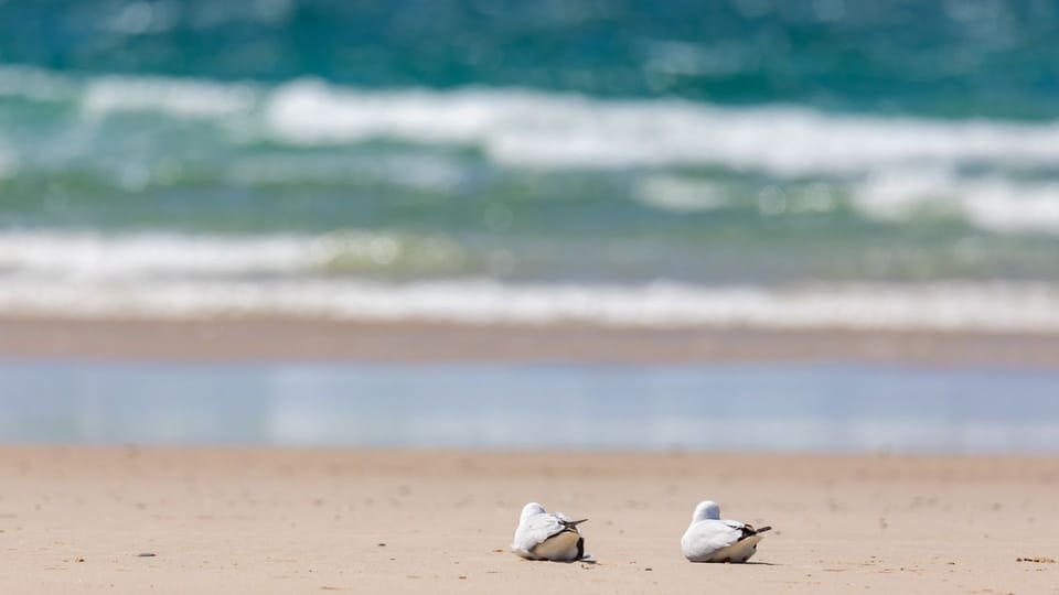 Beach