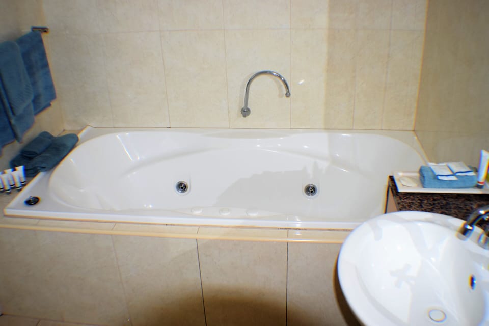 Spa Suite | Bathroom | Free toiletries, hair dryer, towels