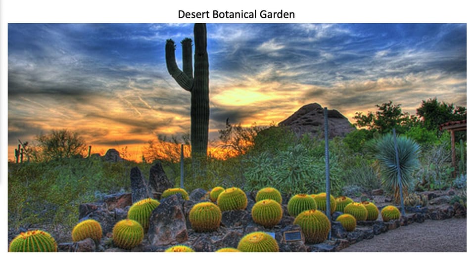 Desert Botanical Garden. 