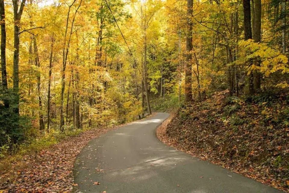 The drive up to our cabin. 