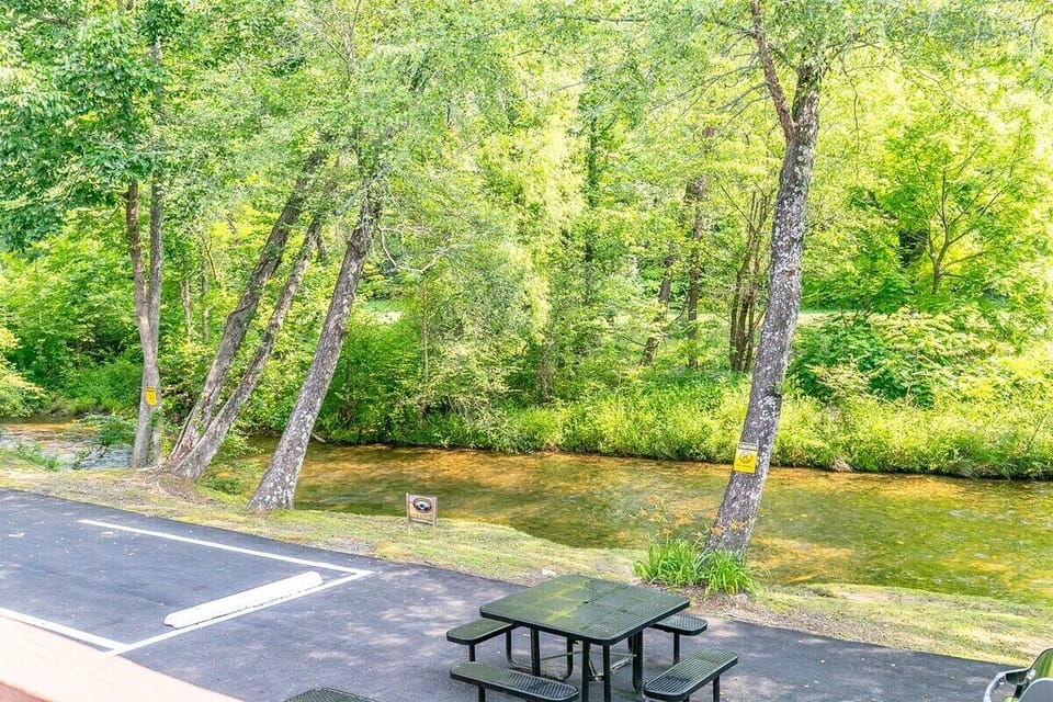 Picnic area & river