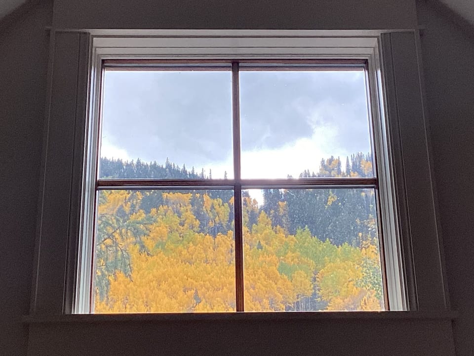 Vaulted ceiling window