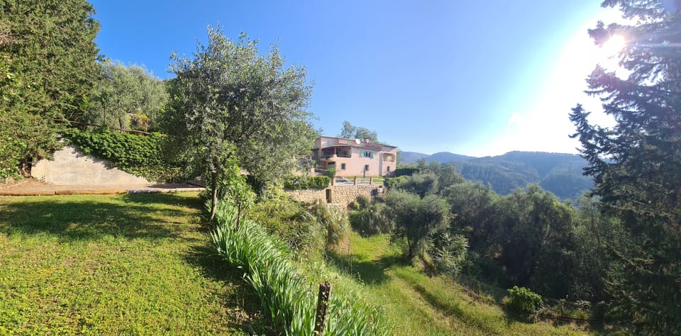 The villa and gardens