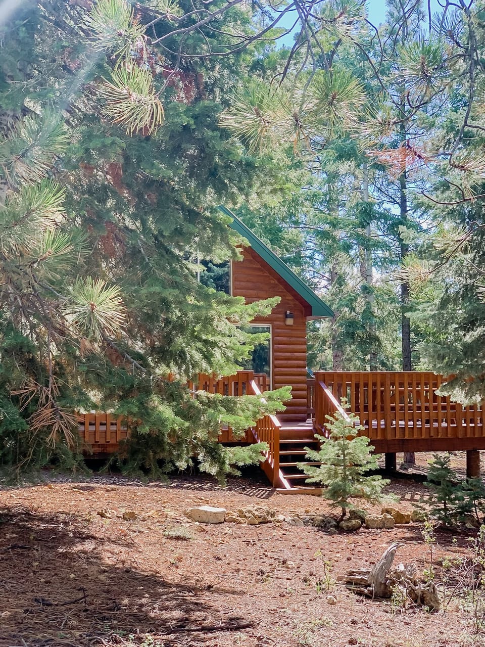 horseshoe driveway and wrap around deck with forest views
