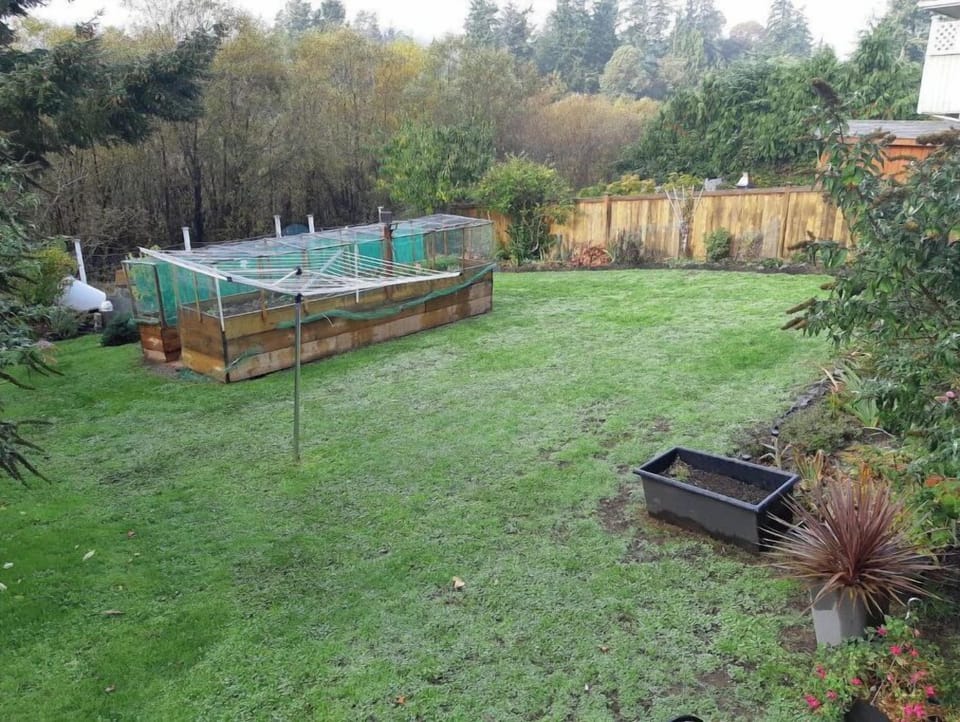 back yard from stairs