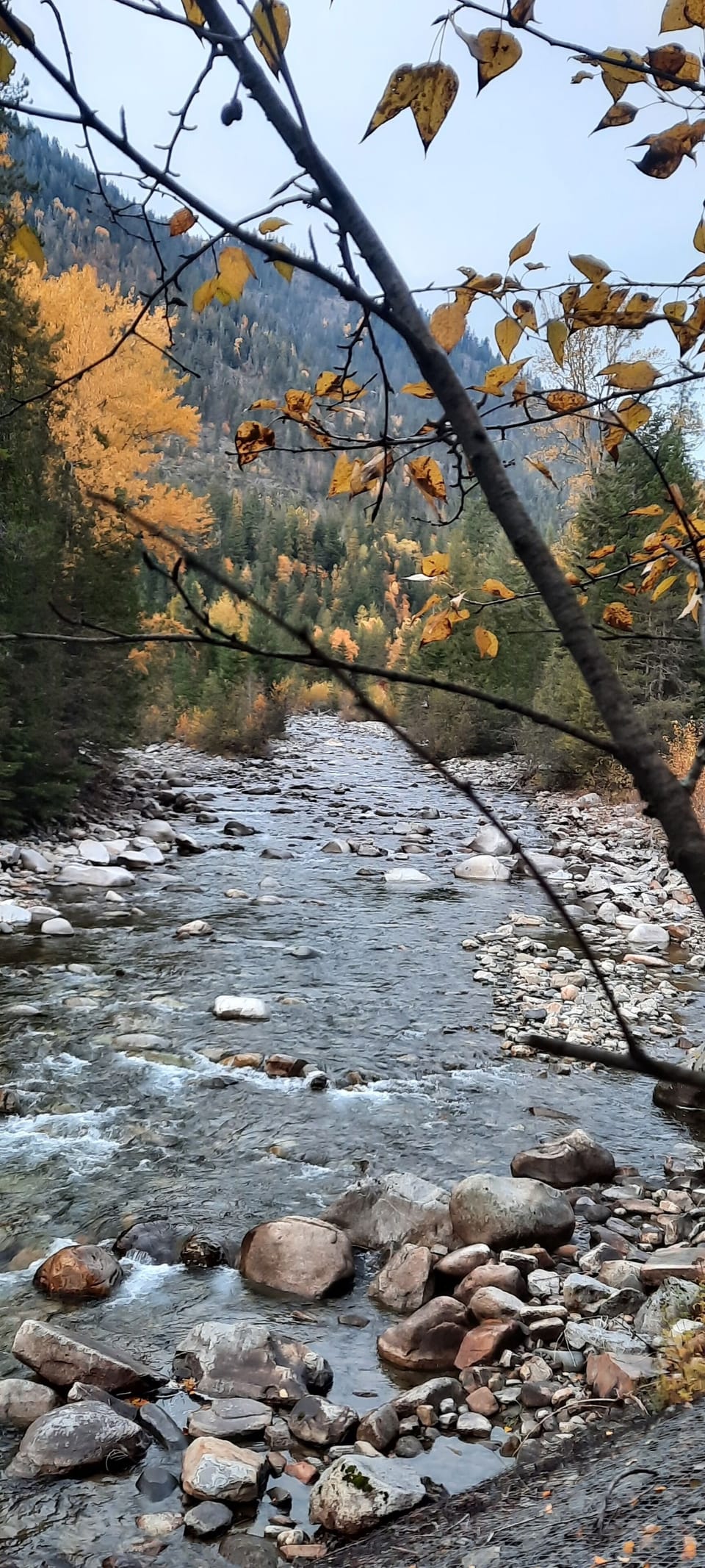 Lightning Creek in Fall