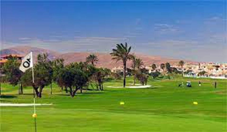 Apartment | Golf