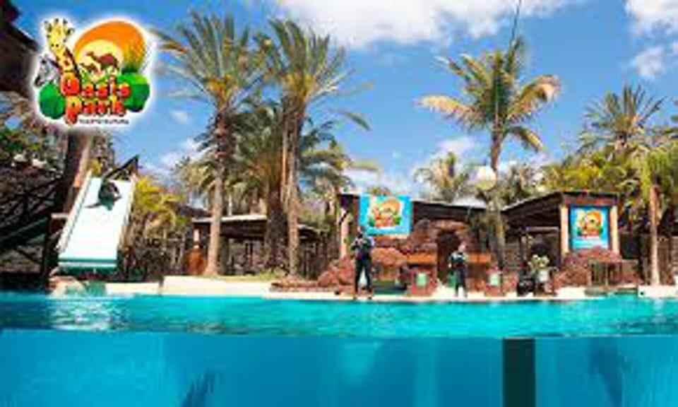 Apartment | Pool | Outdoor pool
