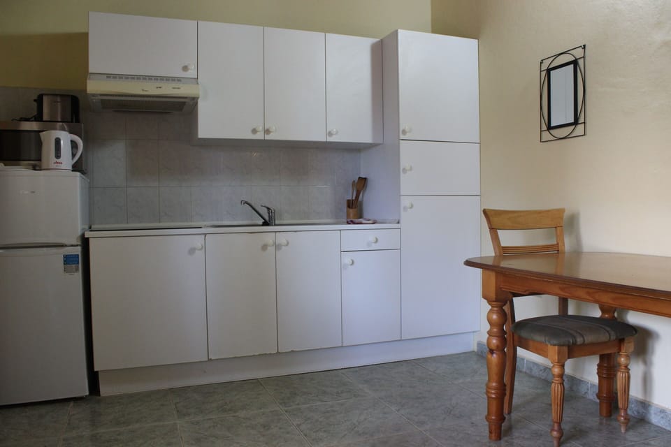 Apartment | Private kitchen | Fridge, microwave, oven, stovetop