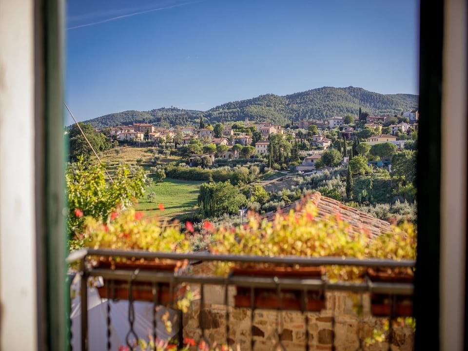 View from Holiday Home [summer]