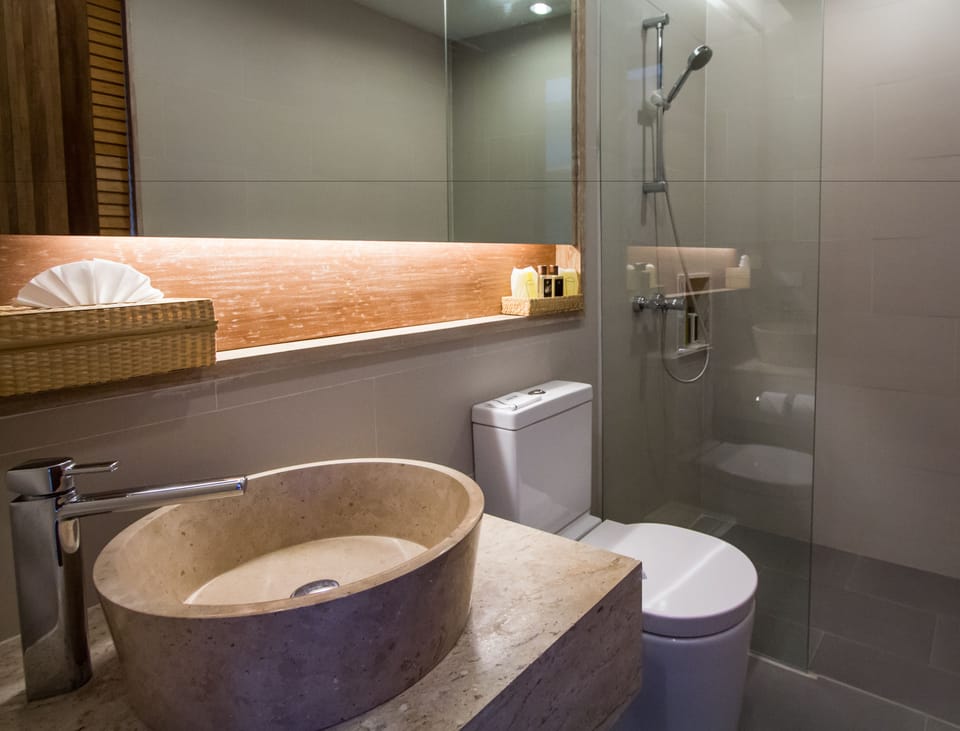 Shower, free toiletries, hair dryer, bathrobes