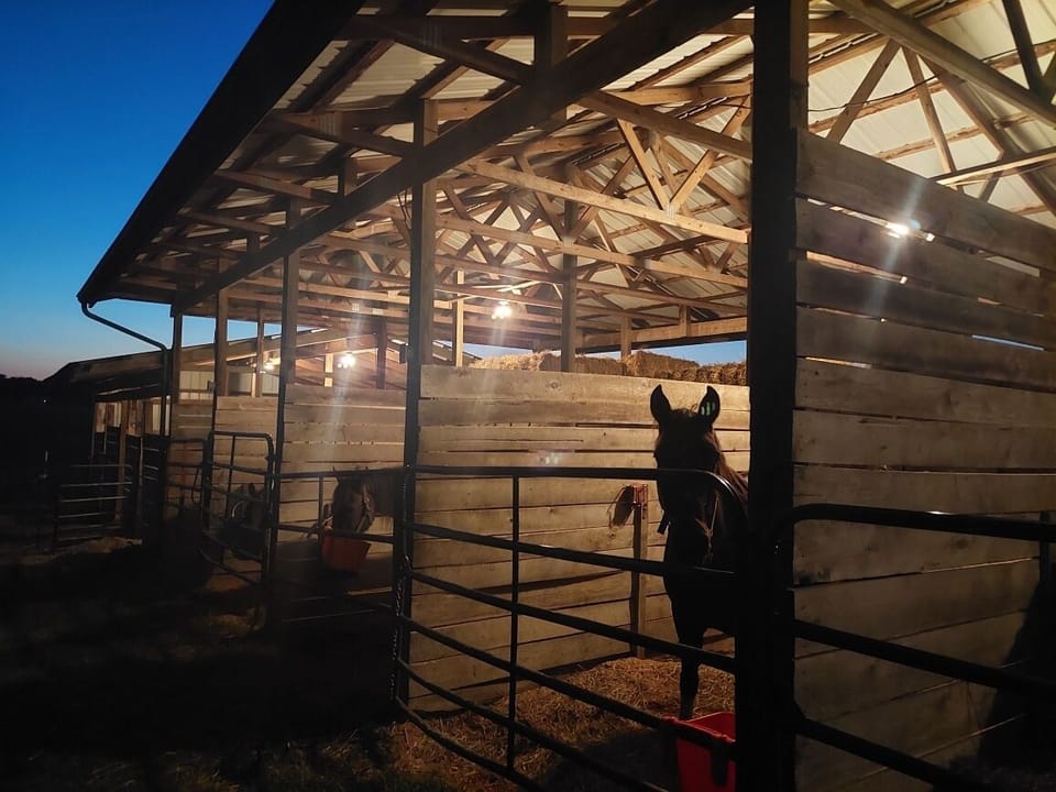 We have stalls available to rent too