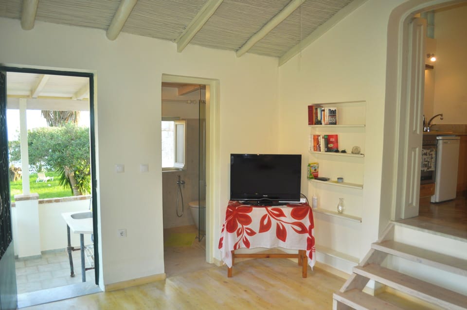 Apartment, 1 Bedroom, Smoking, Balcony | Room amenity