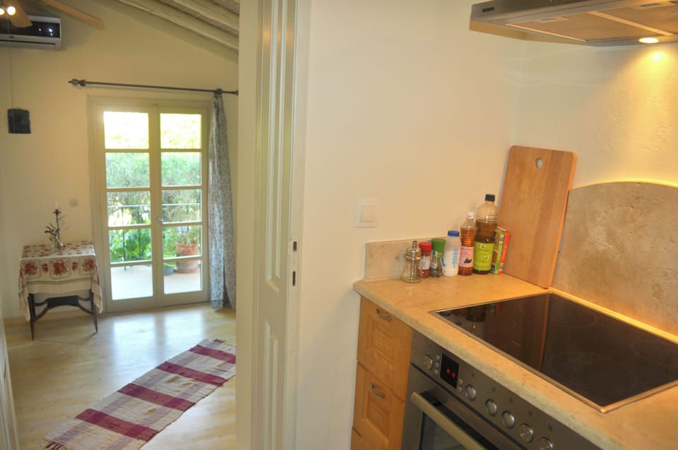 Apartment, 1 Bedroom, Smoking, Balcony | Interior