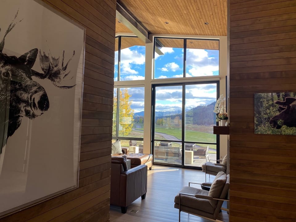 Living room windows
