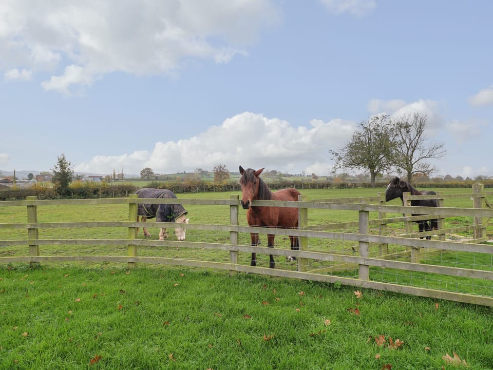 Little Gem Cottage in East Staffordshire District