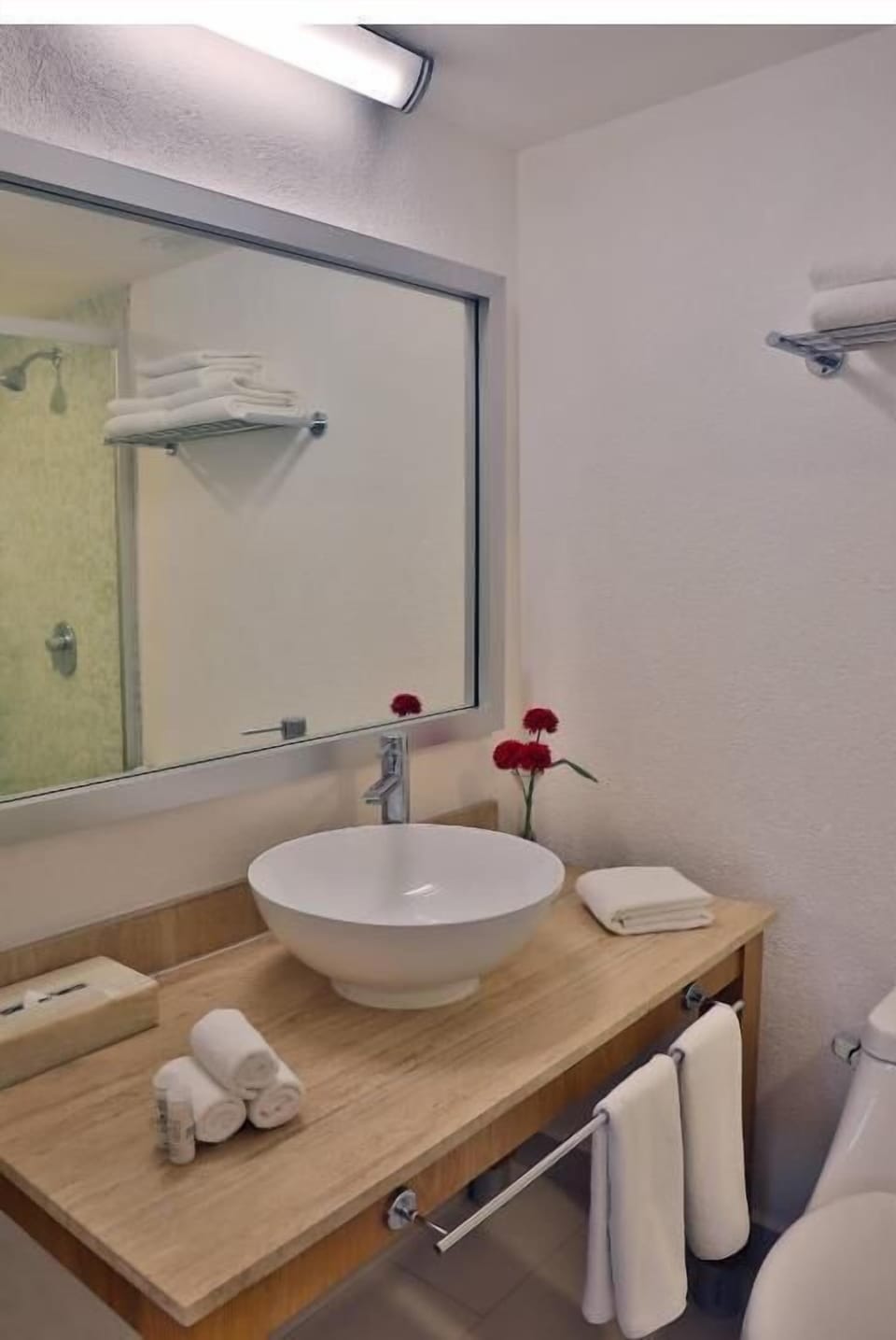 Shower, towels