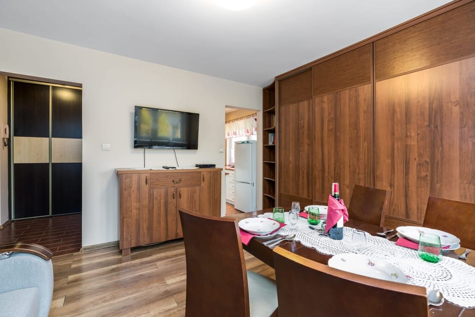 Living room with a sofa bed, TV, dining area and spacious closet.
