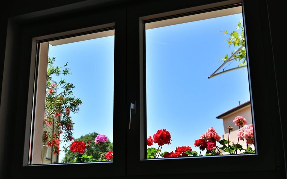 Window in the kitchen