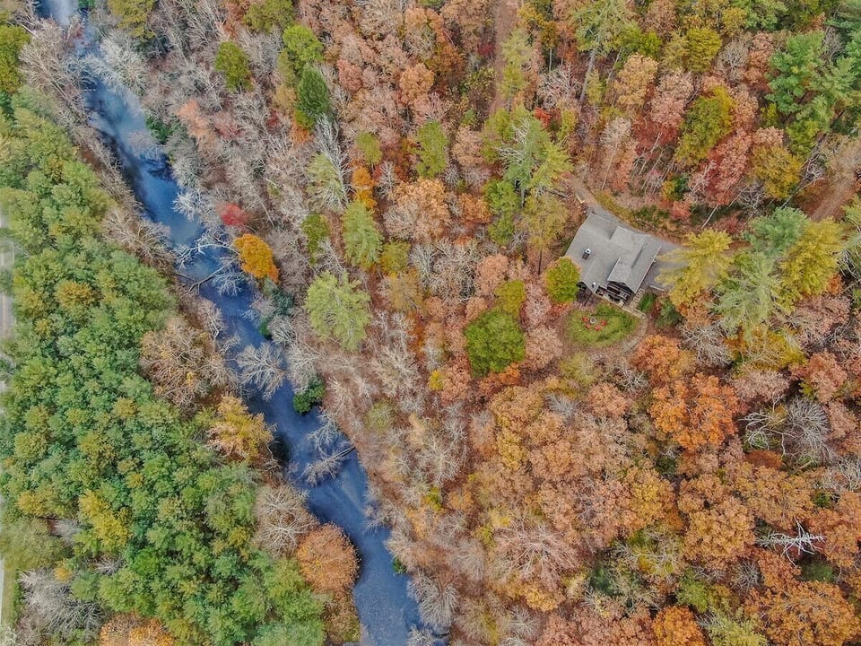 In The Middle Of Nature