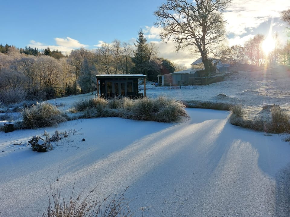 Cabin | Property grounds