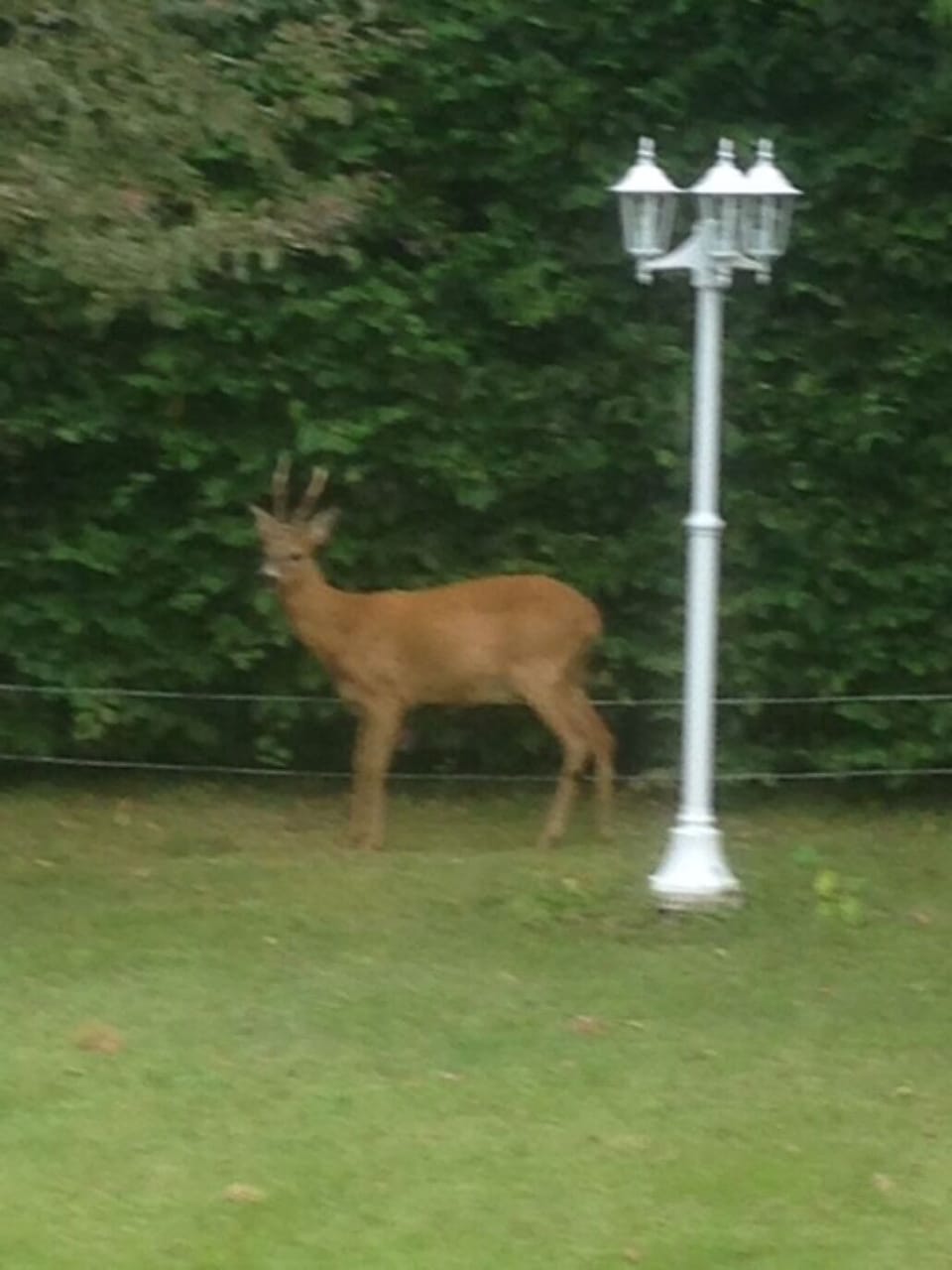 Property grounds