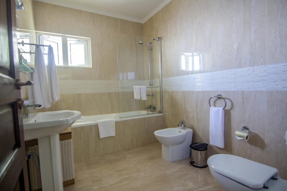 Shower, free toiletries, hair dryer, bidet