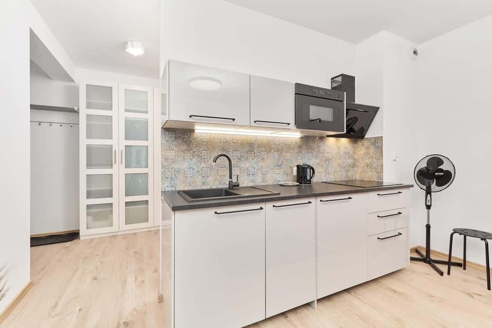 Kitchenette with induction hob, fridge, dishwasher, and microwave.