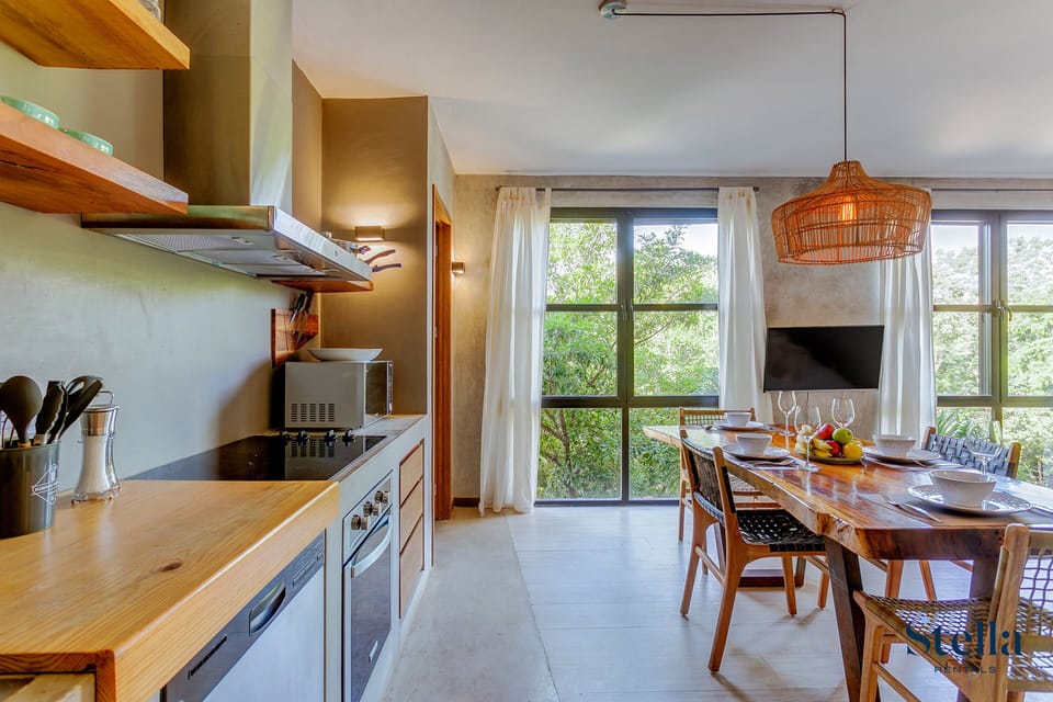 Deluxe Apartment, 2 Bedrooms, Terrace | Private kitchen | Full-size fridge, microwave, oven, stovetop