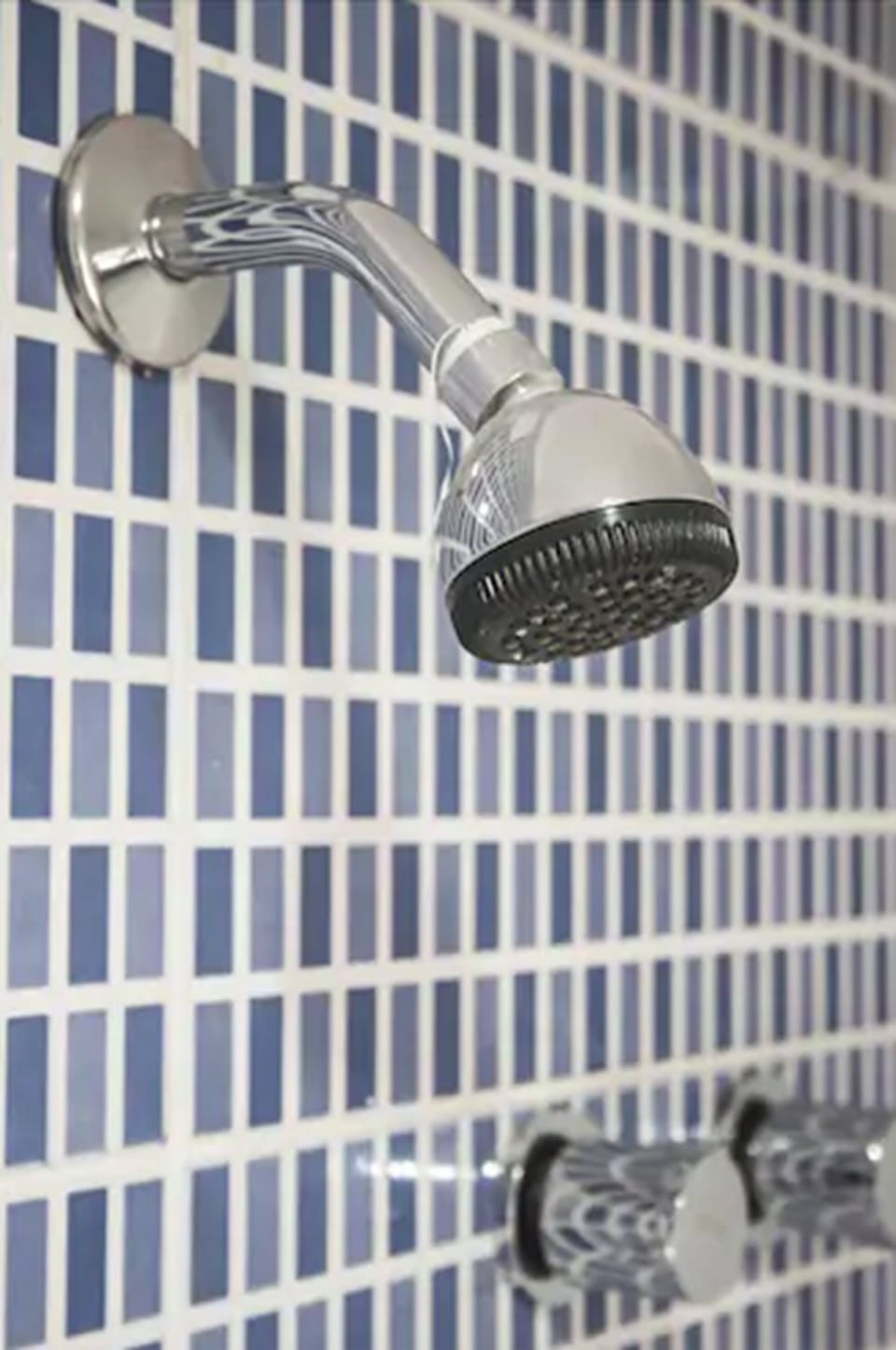 Shower, free toiletries, hair dryer, bidet