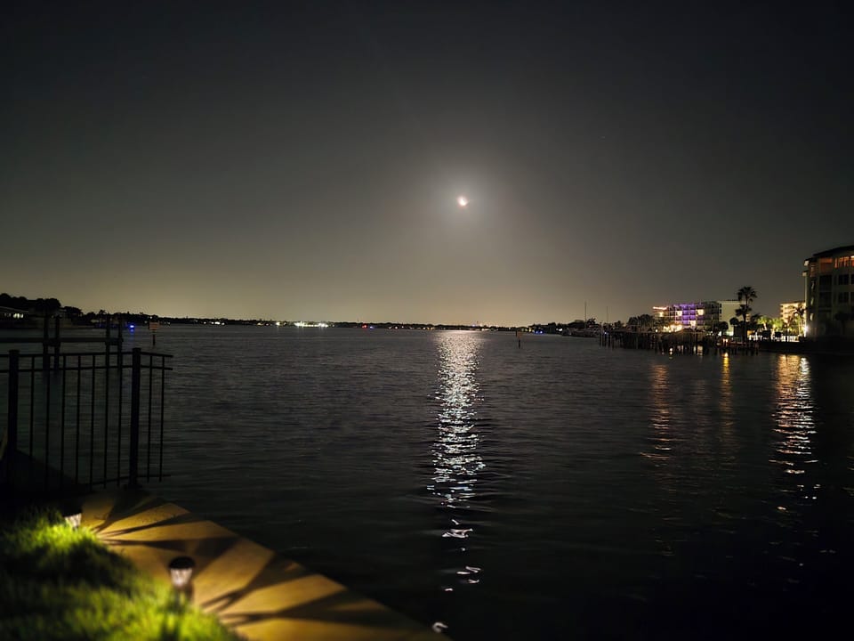 Enjoy the back yard and a visit from a dolphin. 