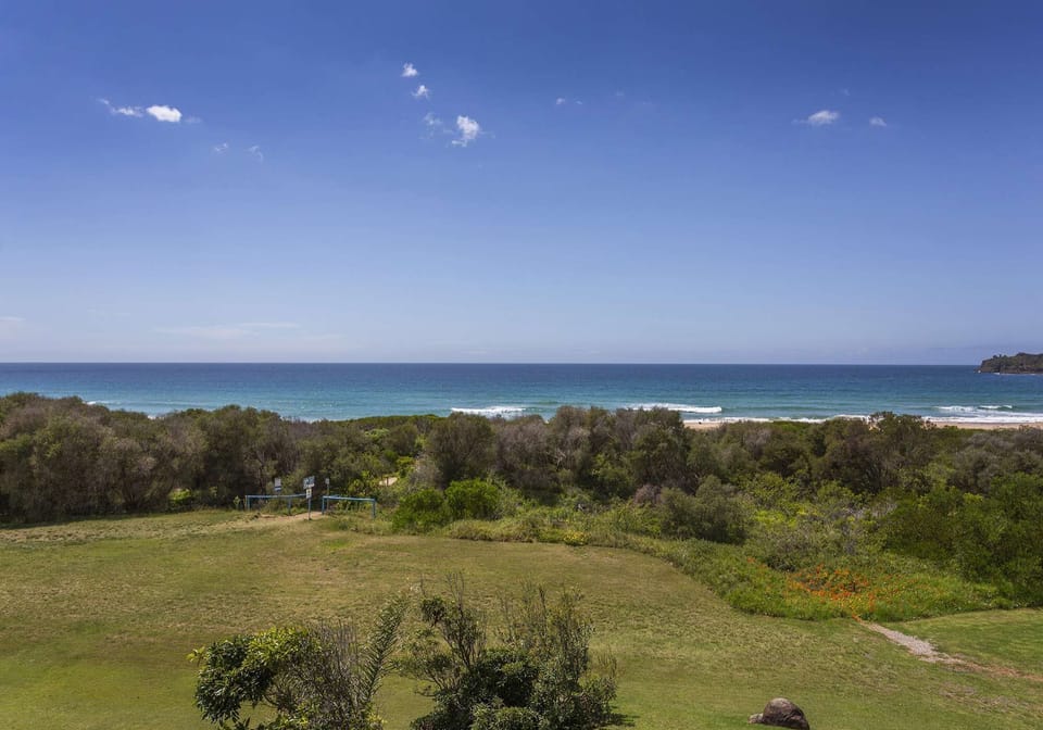 Your backyard!