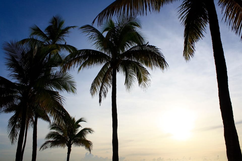 15 min drive to Lauderdale Beach