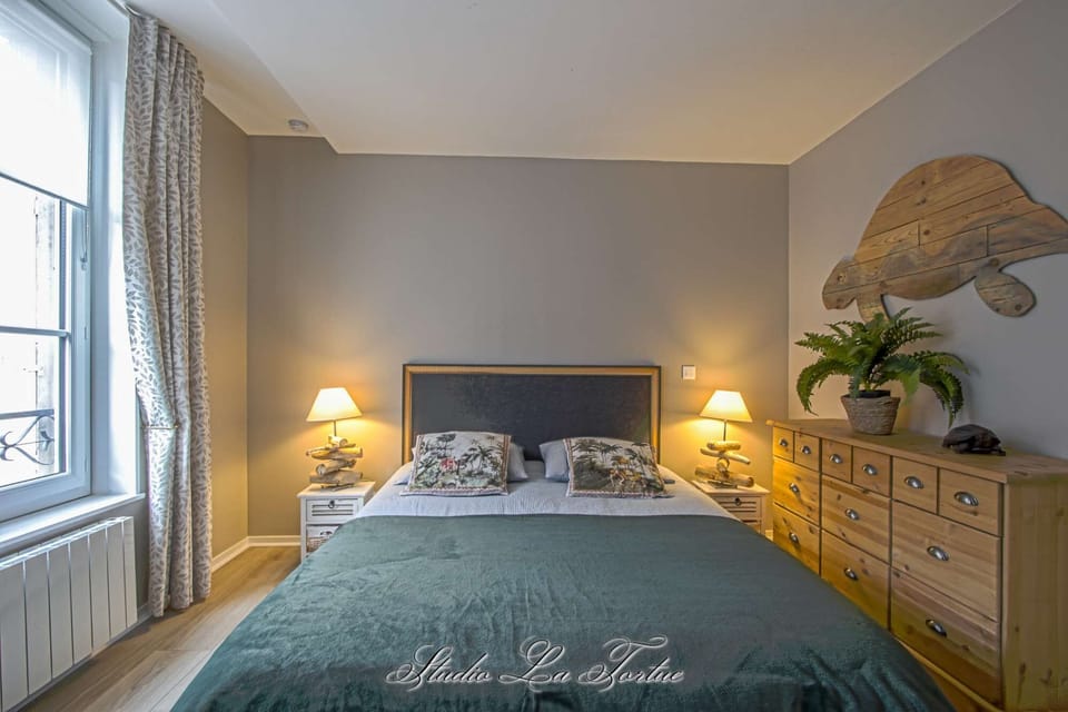 Studio La Tortue - Bed (5'3"x6'7")