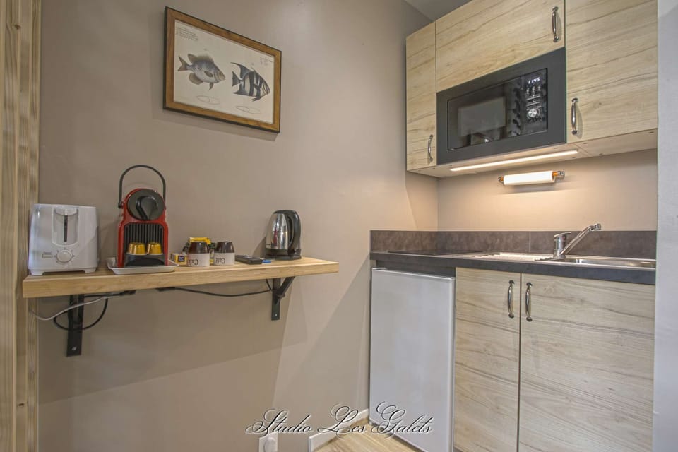 Studio Les Galets - Kitchen (Induction stove, Microwave, Fridge, Sink, Storage, Toaster, Nespresso, Kettle &amp; Tea pot, Plates, Bowls, Cups, Cuttlery, Pots &amp; pans, various utensils)