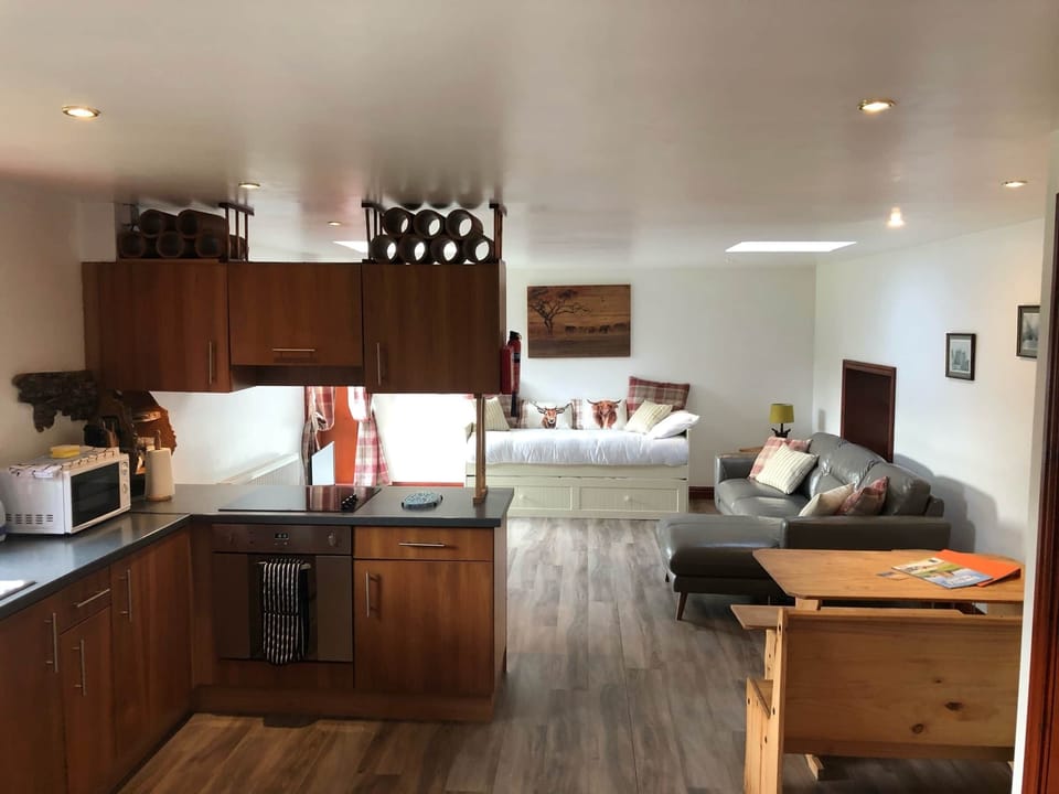 kitchen/dining/living