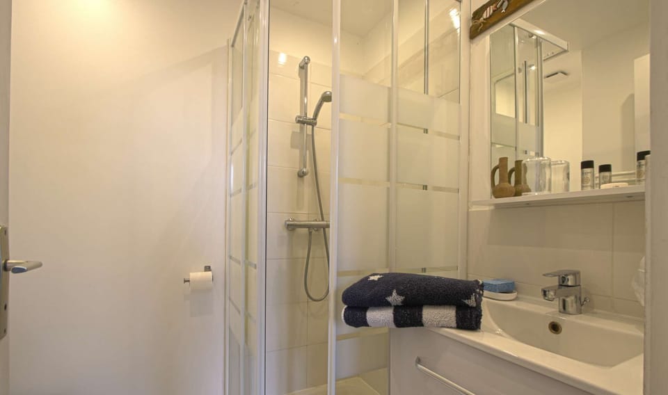 Studio Le Bois Flotté - 3/4 bathroom (Shower, Sink, Mirror, Storage, Toilet, Heated towel rail, Hair dryer)