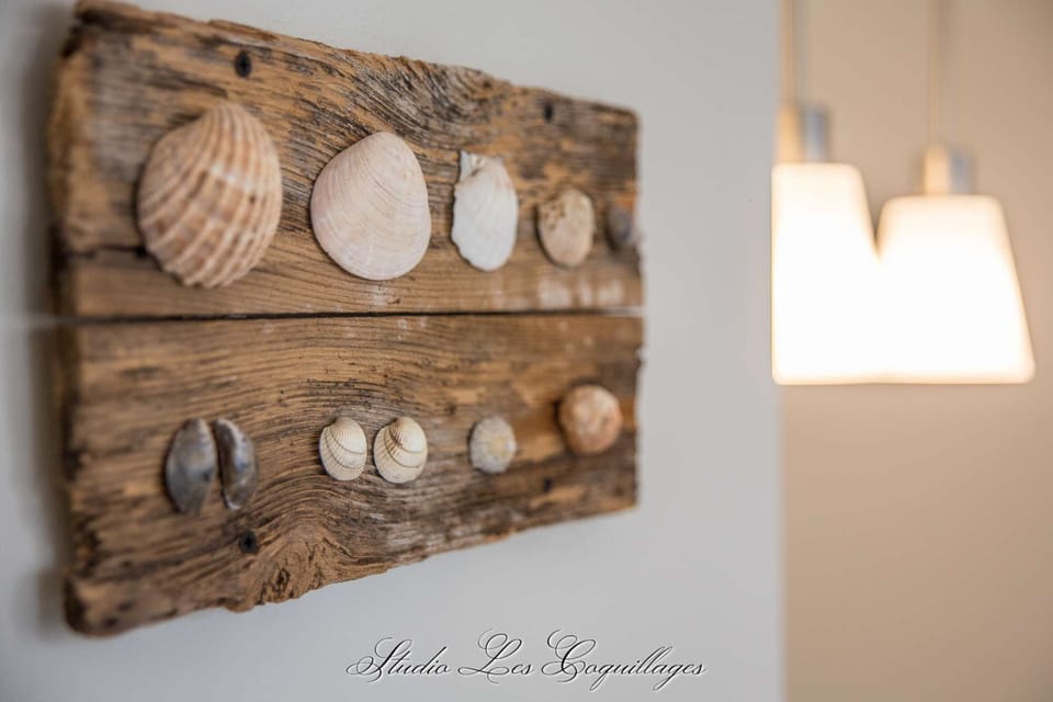 Studio Les Coquillages - Living room (Decoration detail)