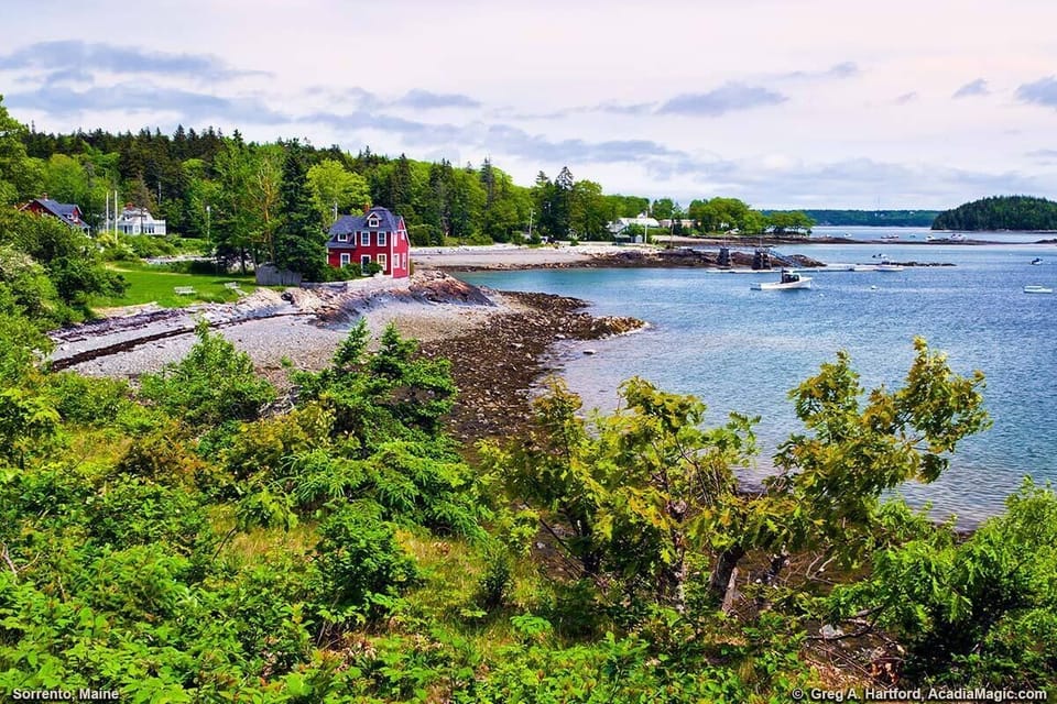 This shows an easterly view of Sorrento Harbor as seen from Ocean Avenue on Waukeag Neck just west of the Village Green. It shows the Sorrento Public Dock area in the distance and Mt. Desert Narrows on the right.