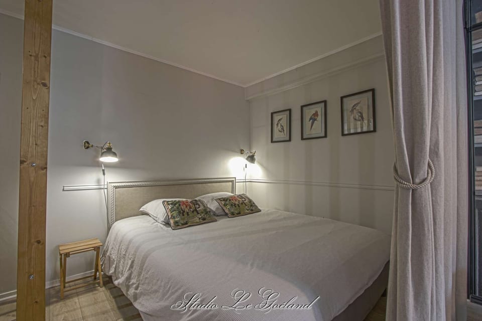 Studio Le Goéland - Bed (5'3"x6'7")