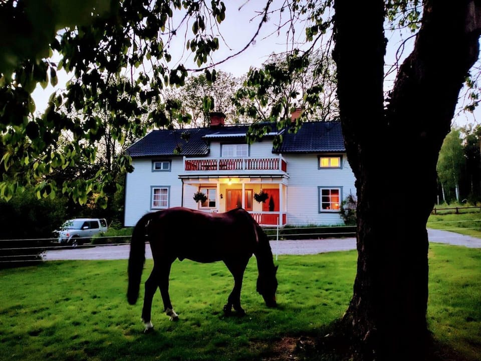 House | Property grounds