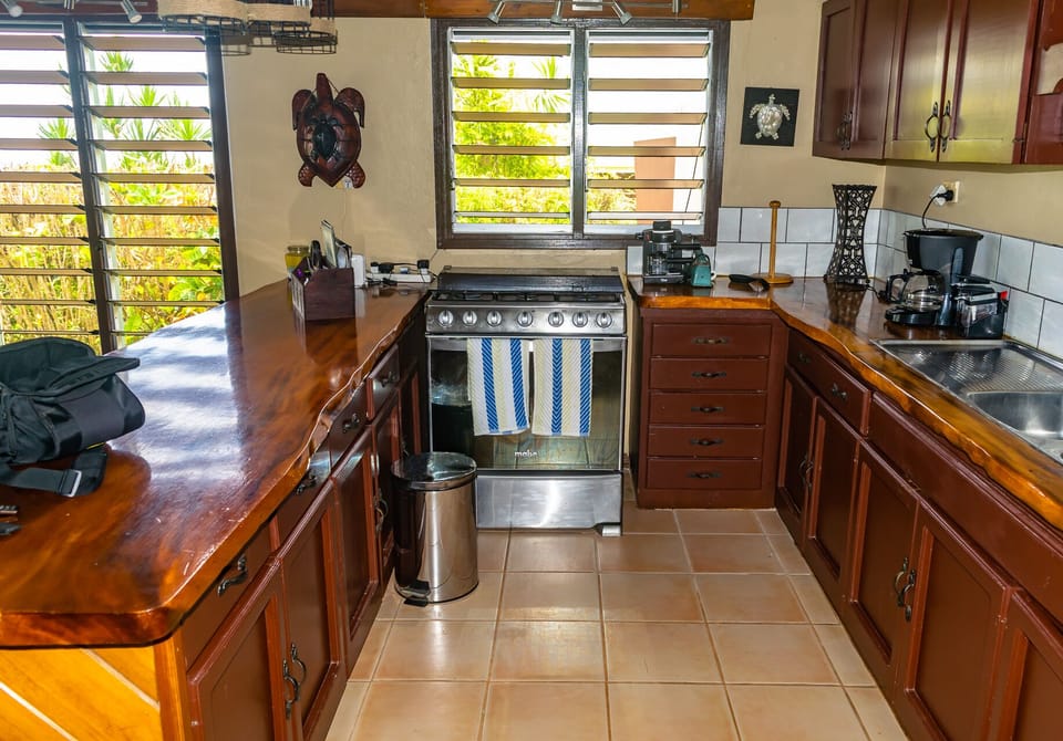 Traditional Fiji Style Kitchen. RainTree countertops. 