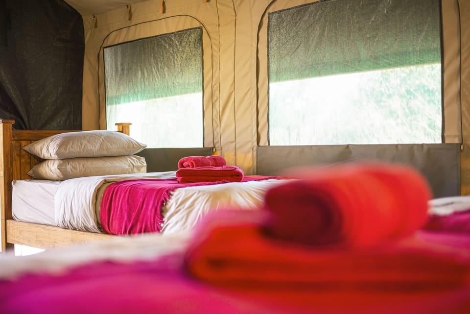 Tent | Egyptian cotton sheets, premium bedding, in-room safe, bed sheets