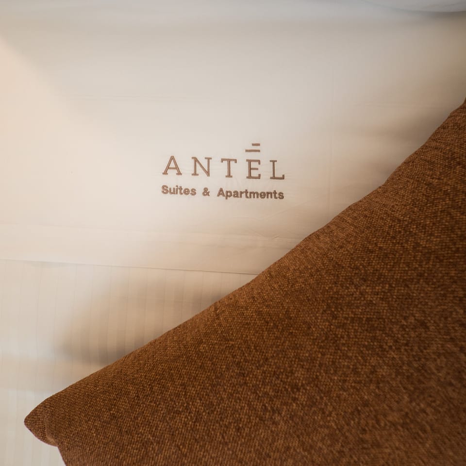 Deluxe Suite | Interior detail