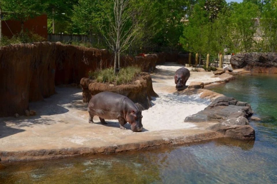 Only 5 minutes away—explore wildlife and fun at the Memphis Zoo.