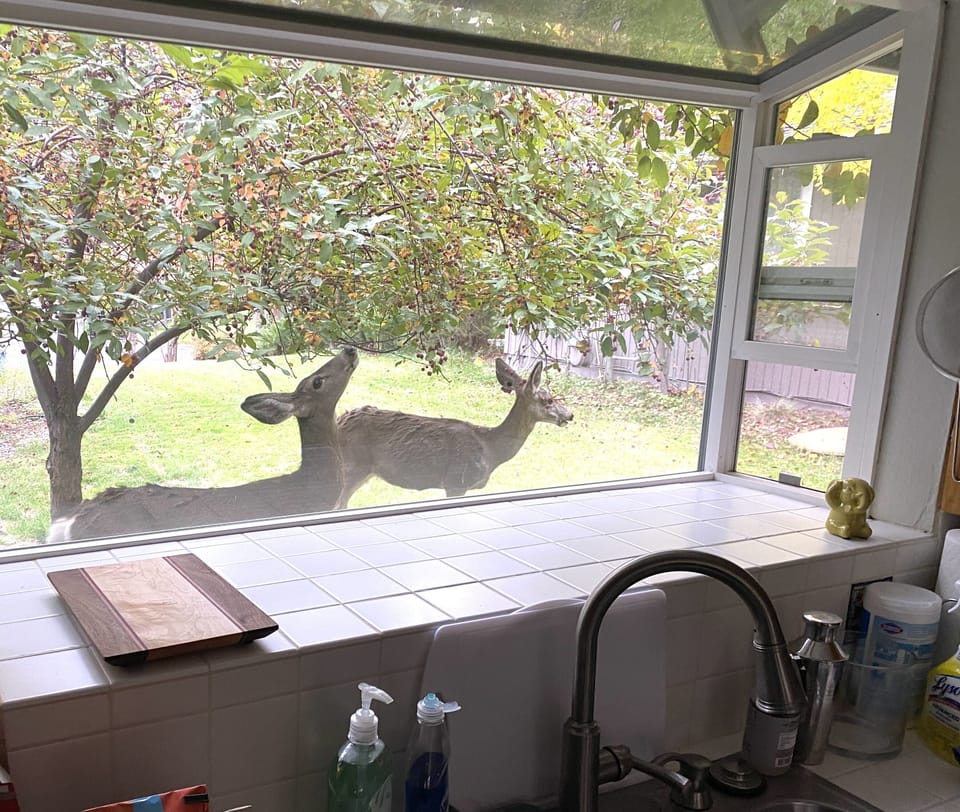 Our gentle neighbors may stop by while you're here