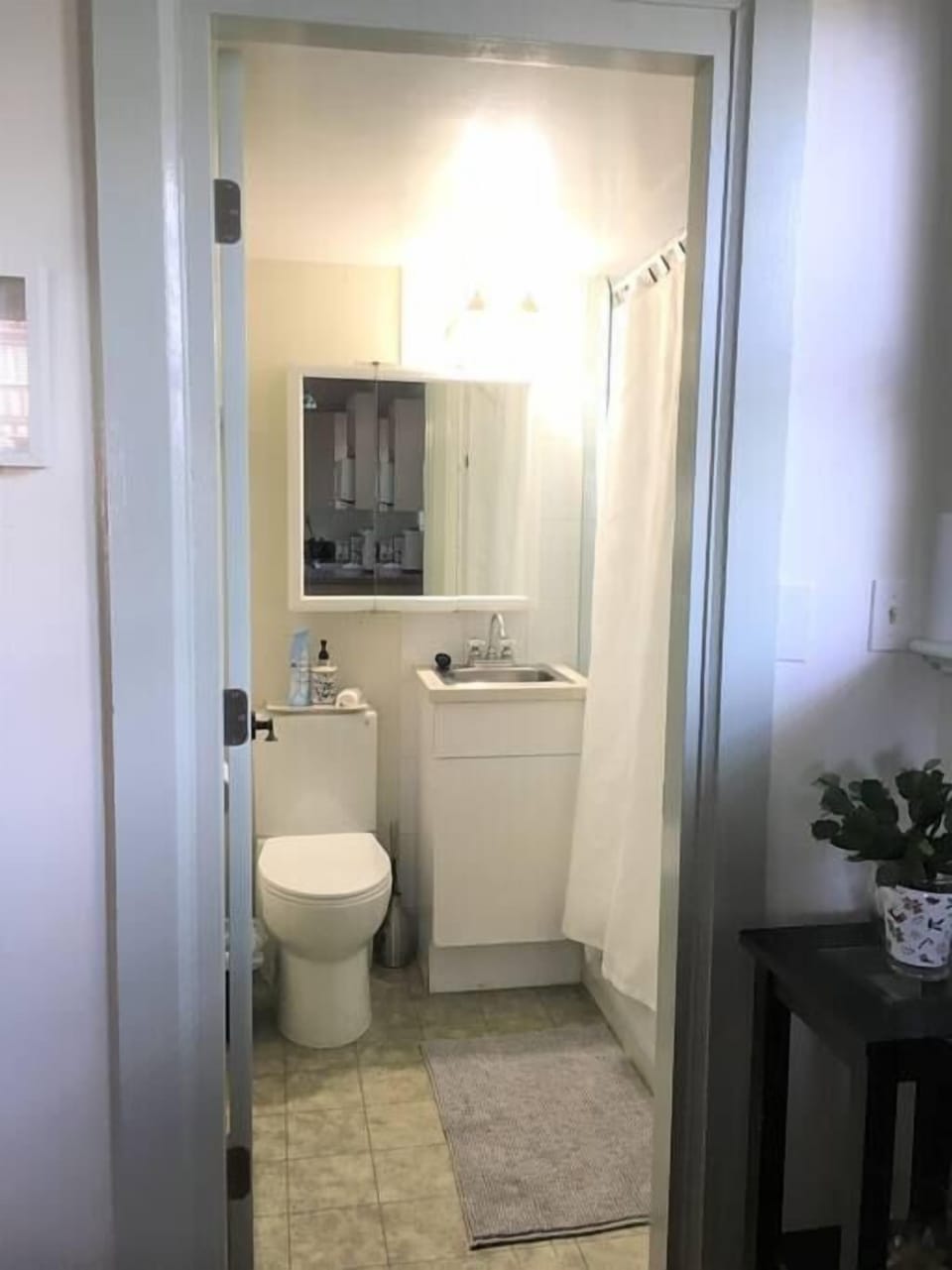 Bathroom with new heritage door.