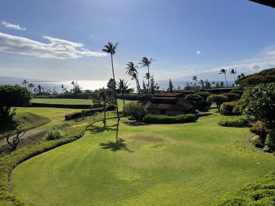 View from Primary lanai