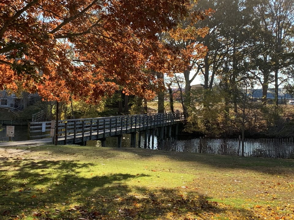 Bridge to school and turtle park