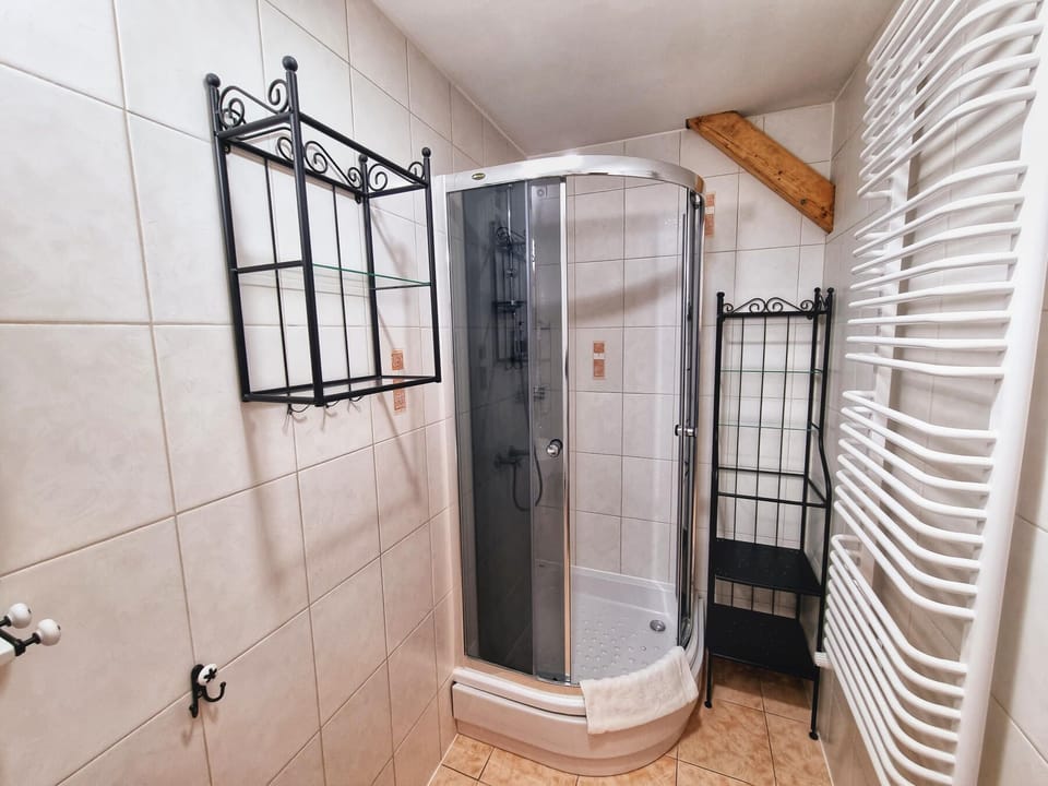 Triple Room | Bathroom | Shower, hair dryer, towels, soap